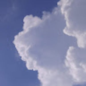 Meet your Posher, Gregory